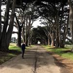 Point Reyes Station