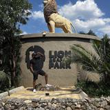 Lion Park