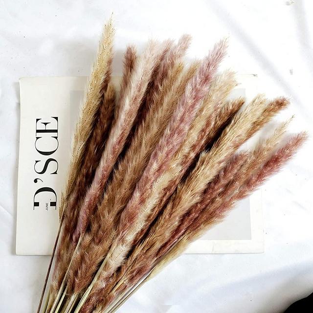 Beau Jour 45cm Natural Dried Pampas Grass 30pcs for Flower Arrangements Home Decor
