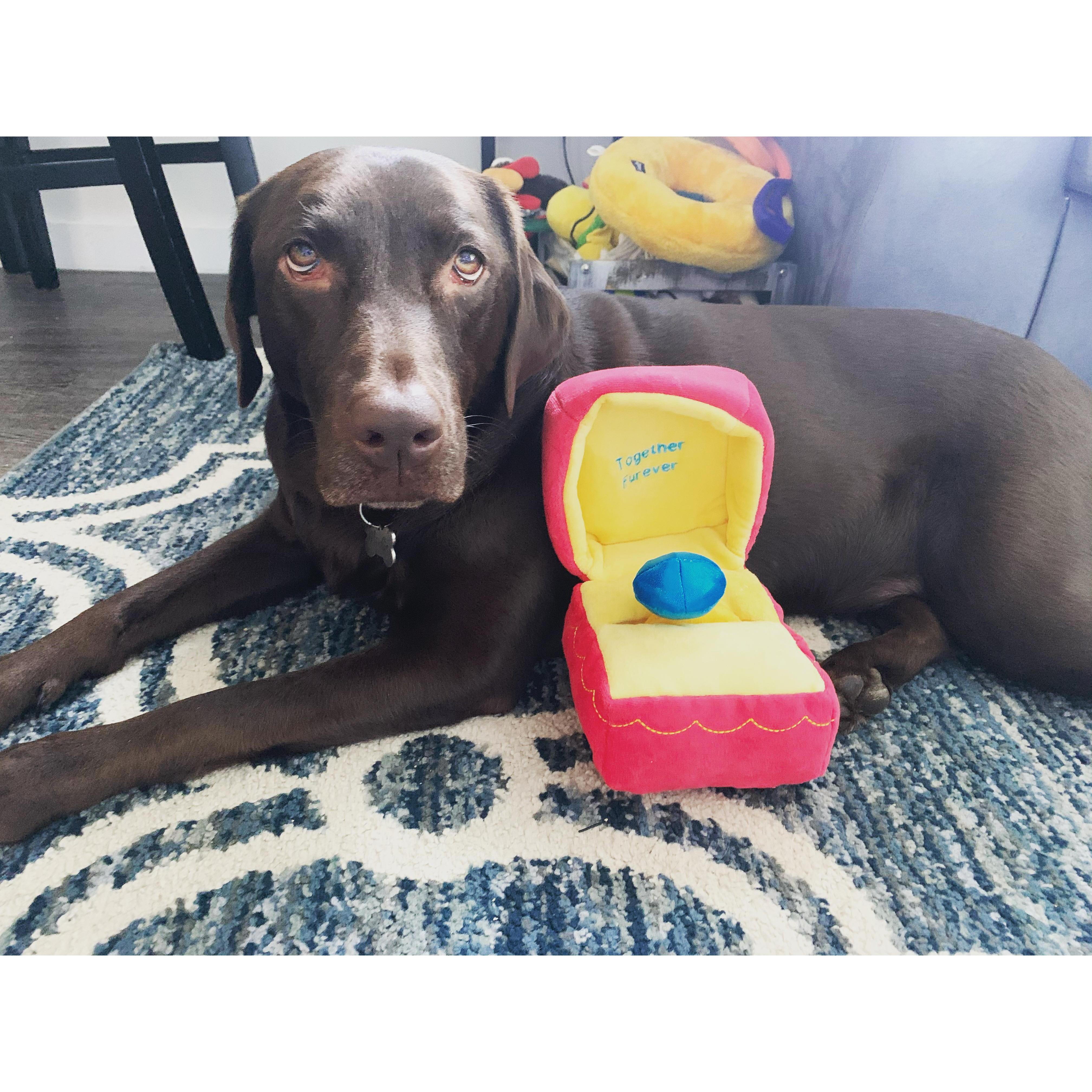 Our Sweet Mocha; Together Fur-ever