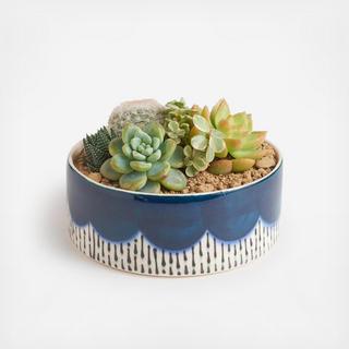 Scalloped Handmade Planter with Succulents
