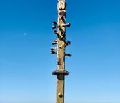 Mission Peak Trail Head