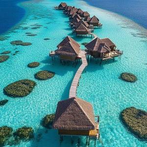 Honeymoon Fund