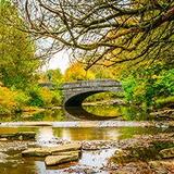 Cherokee Park