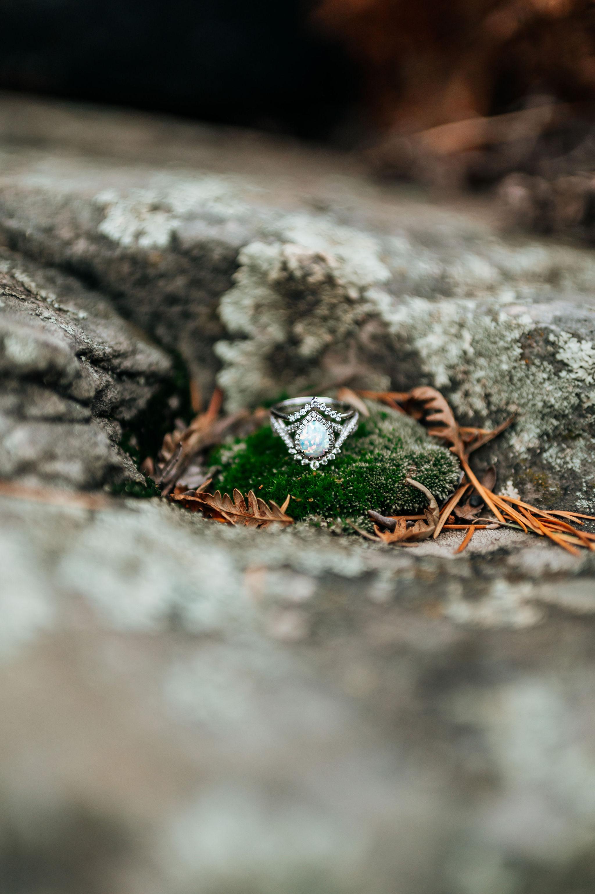 The Wedding Website of Andrianna Walsh and Nicholas Penaranda