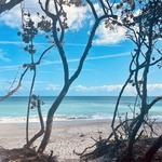Jupiter Beach