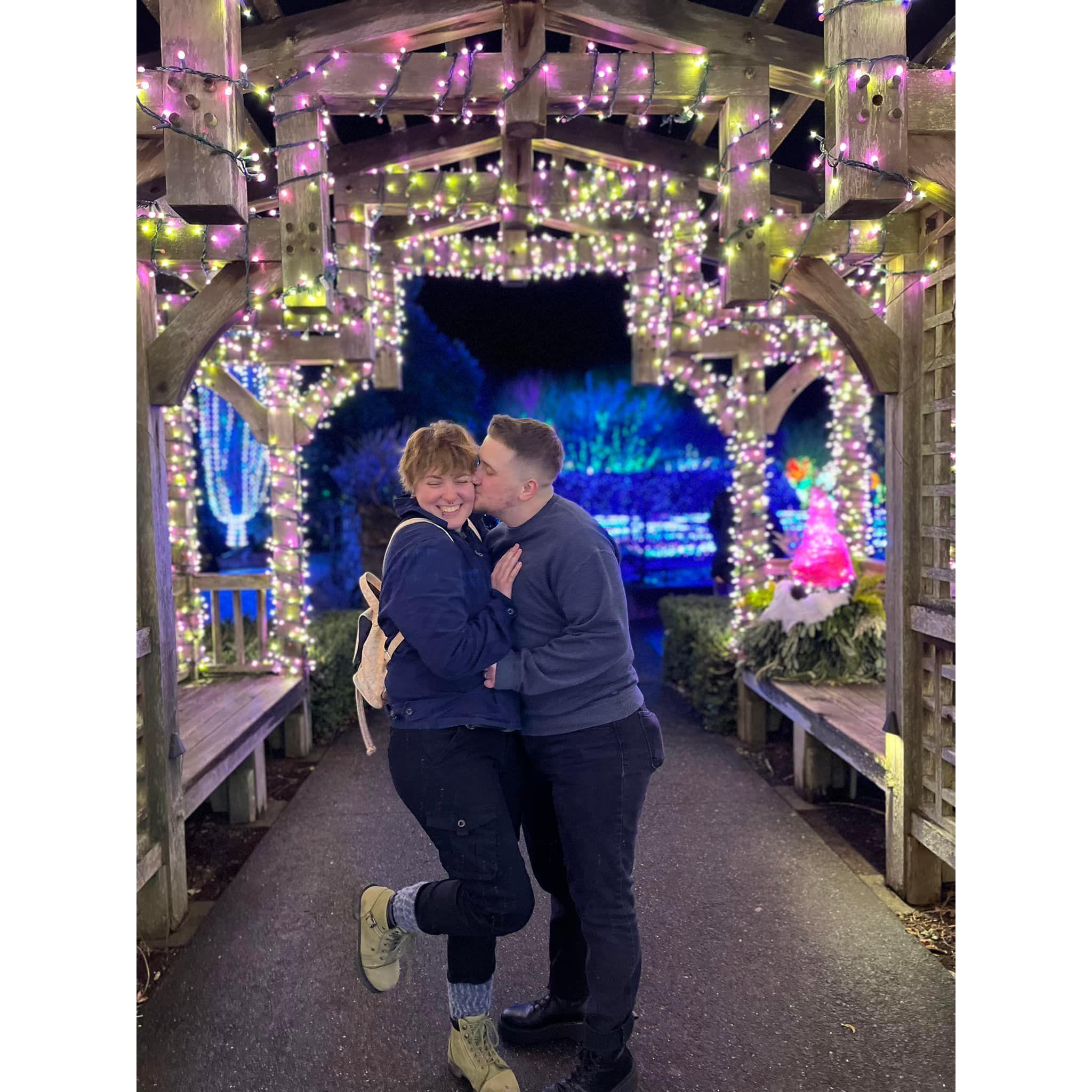 Winter Lights at Asheville Arboretum