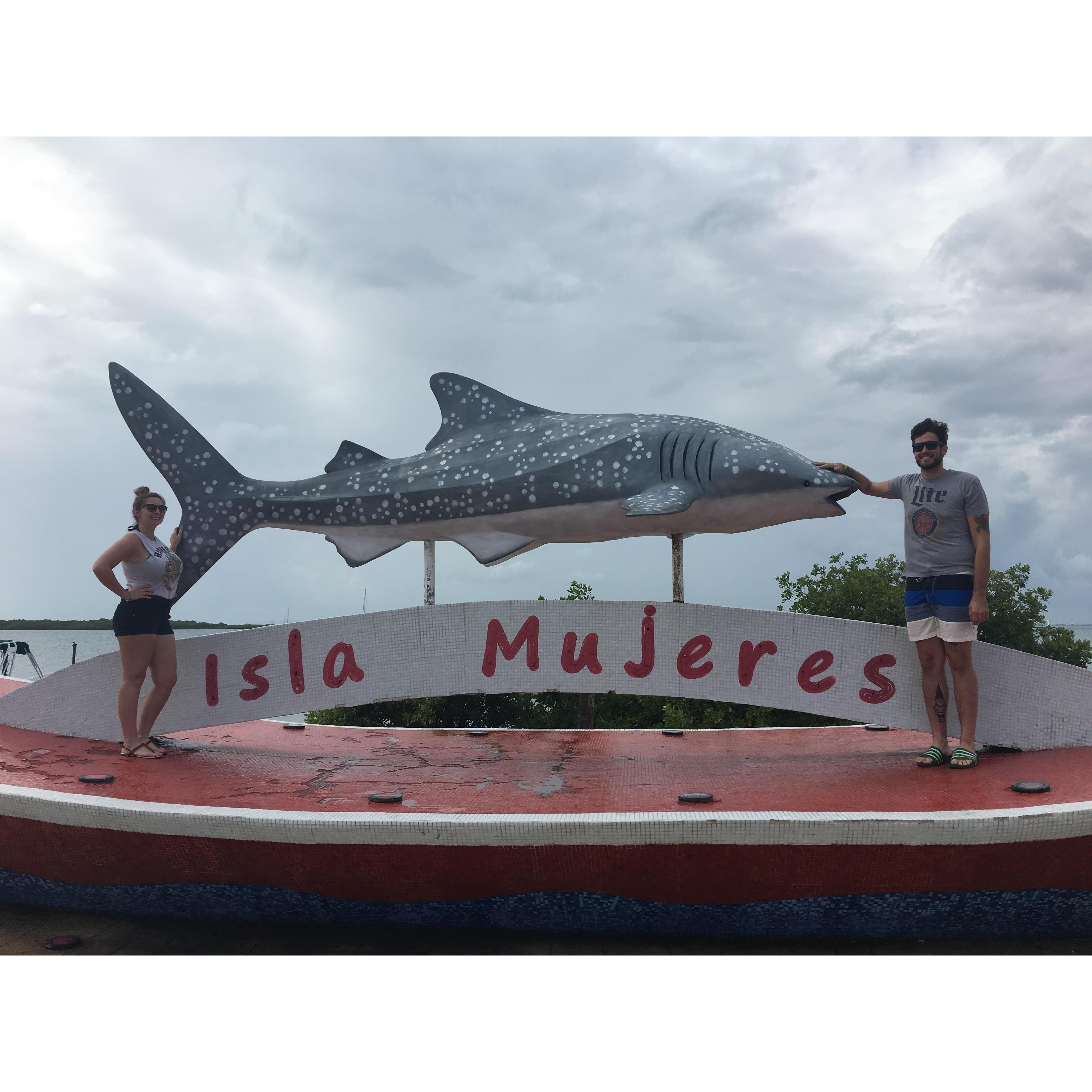 We caught this shark. We'll show it to you in August.