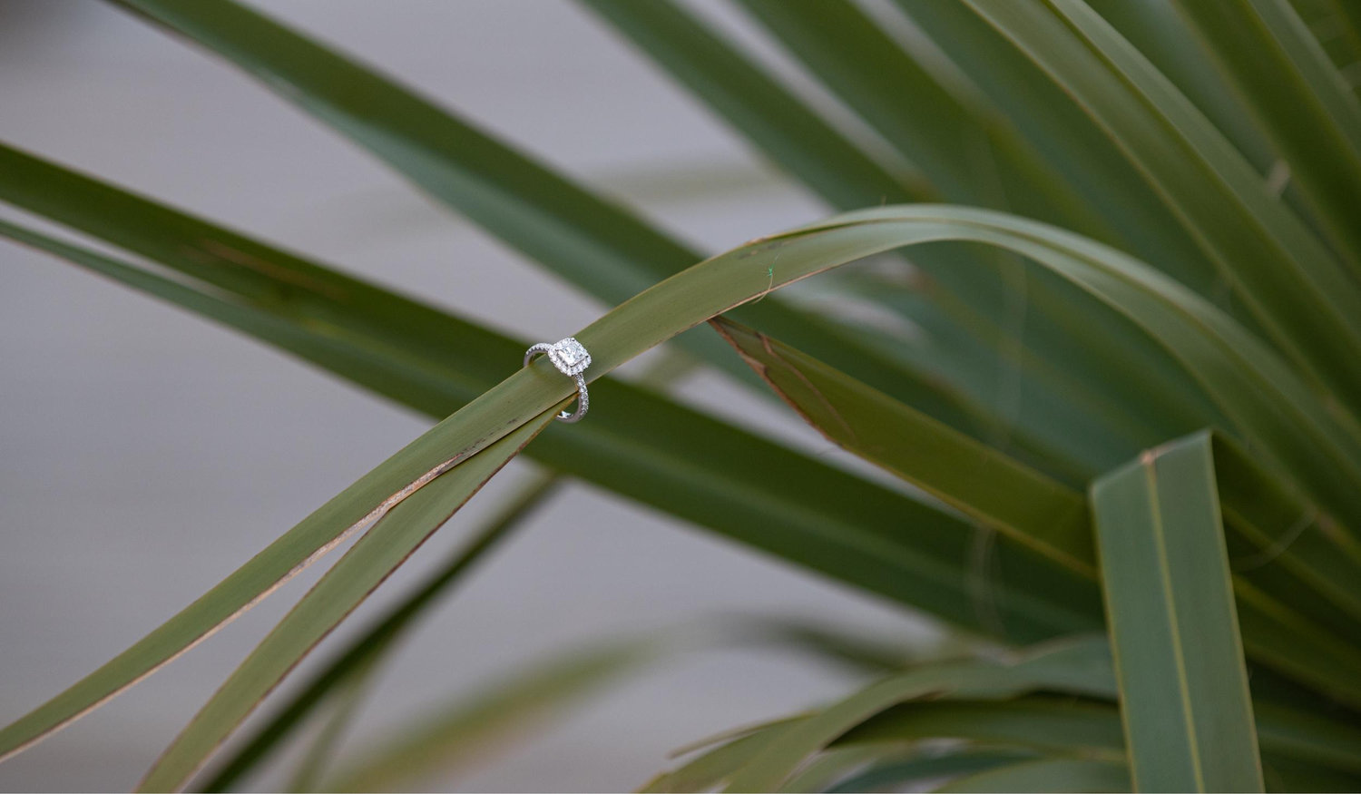 The Wedding Website of Megan Smith and Kyle Short