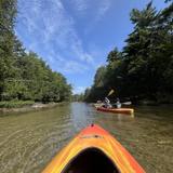 Crystal River Scenic Float