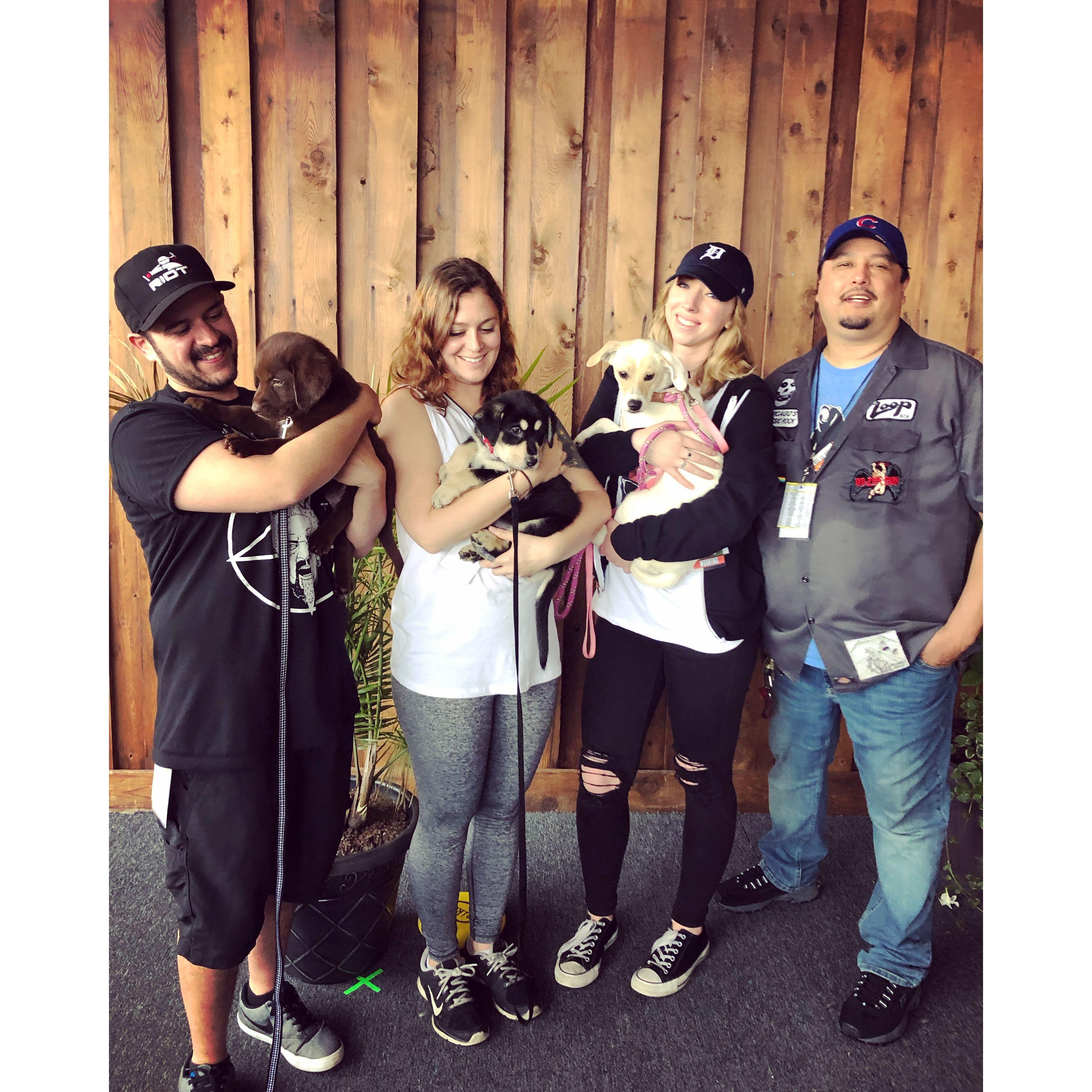 PIQNIQ Puppy Pit 2019