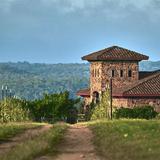 Texas Hill Country Olive Co.