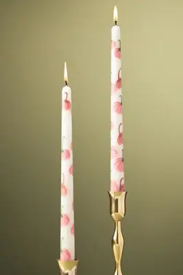 Forage Fall Icon Taper Candles, Set of 2