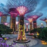 Gardens by the Bay