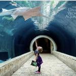 The Dallas World Aquarium