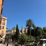 Palma