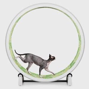 Cat Exercise Wheel, White with Jungle Leaves Foam Pads