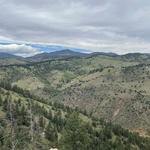 Mount Galbraith Loop via Cedar Gulch Trail