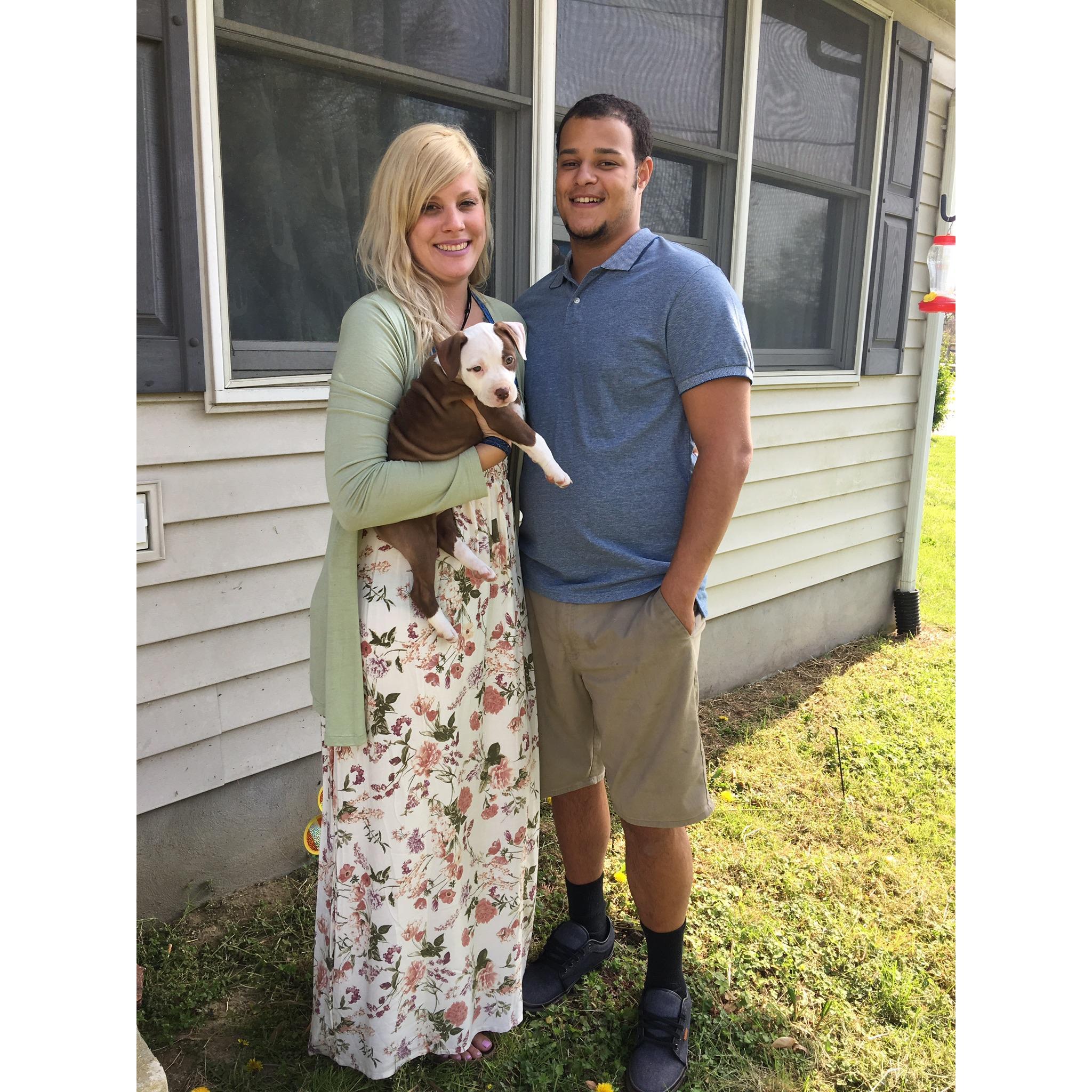 Easter with our new addition 💜