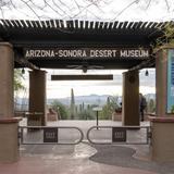 Arizona Sonora Desert Museum