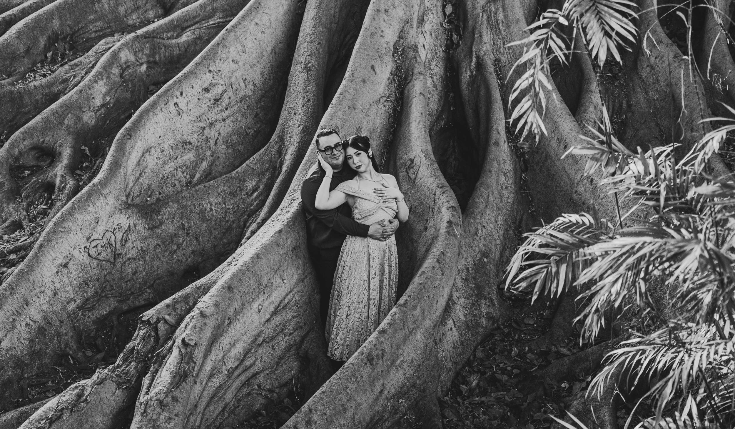 4fd52686-9258-497c-81d9-8cd6575d1c0f