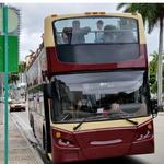 Big Bus Tours Miami