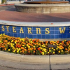 Stearn's Wharf
