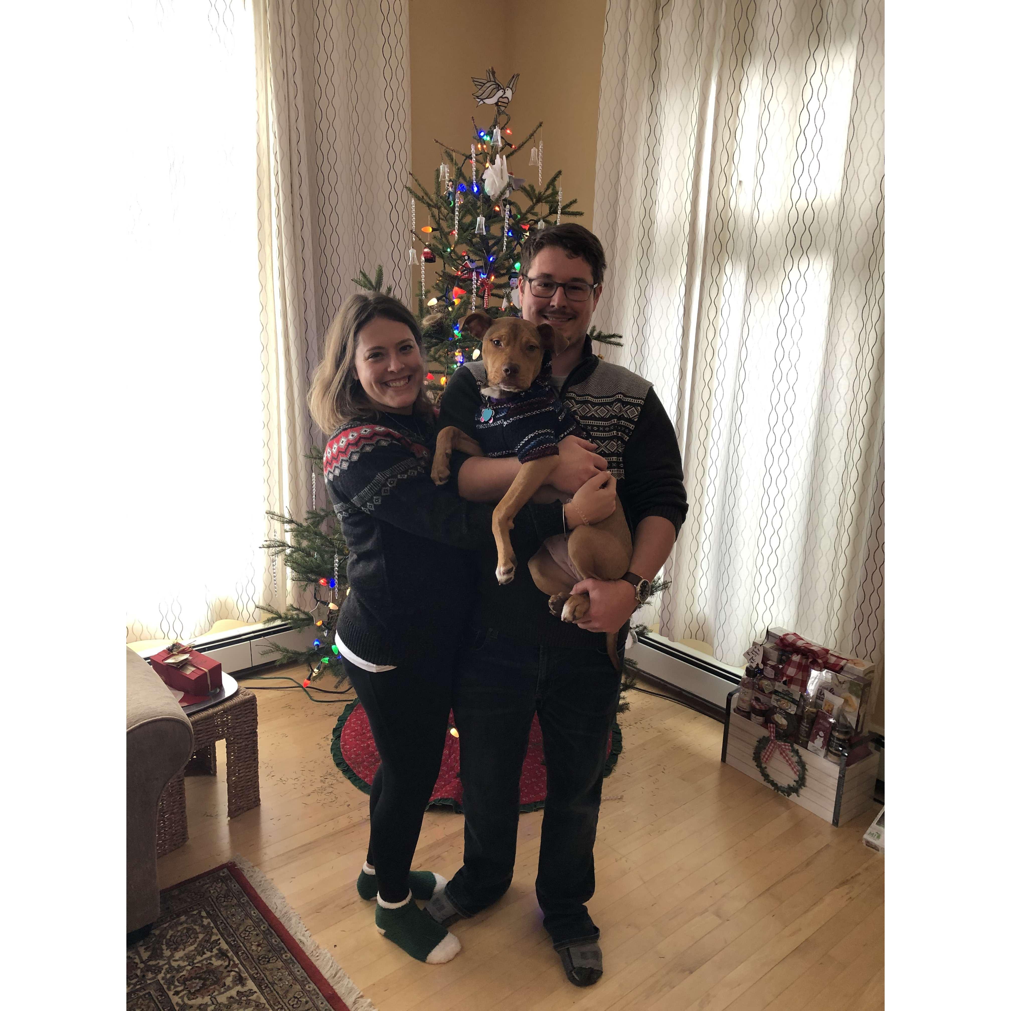 Our first Christmas with Piper!