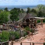 Cheyenne Mountain Zoo