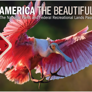 America The Beautiful - The National Parks and Federal Lands Pass