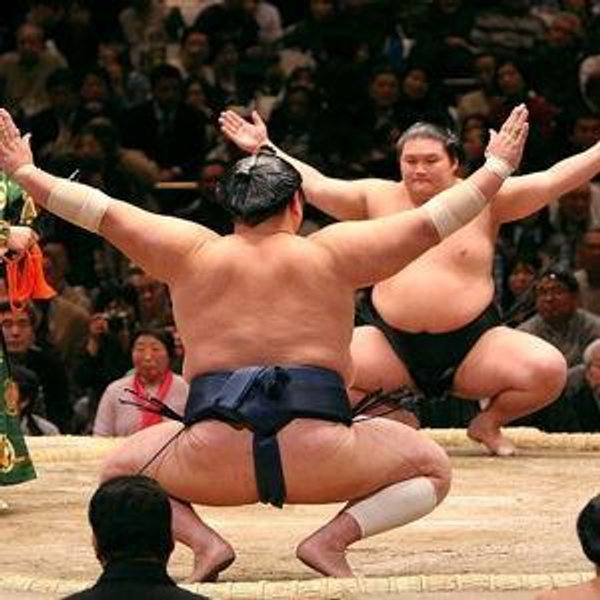 Japanese Sumo Experience