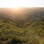 Aliso & Wood Canyons Wilderness Park