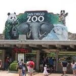 San Diego Zoo