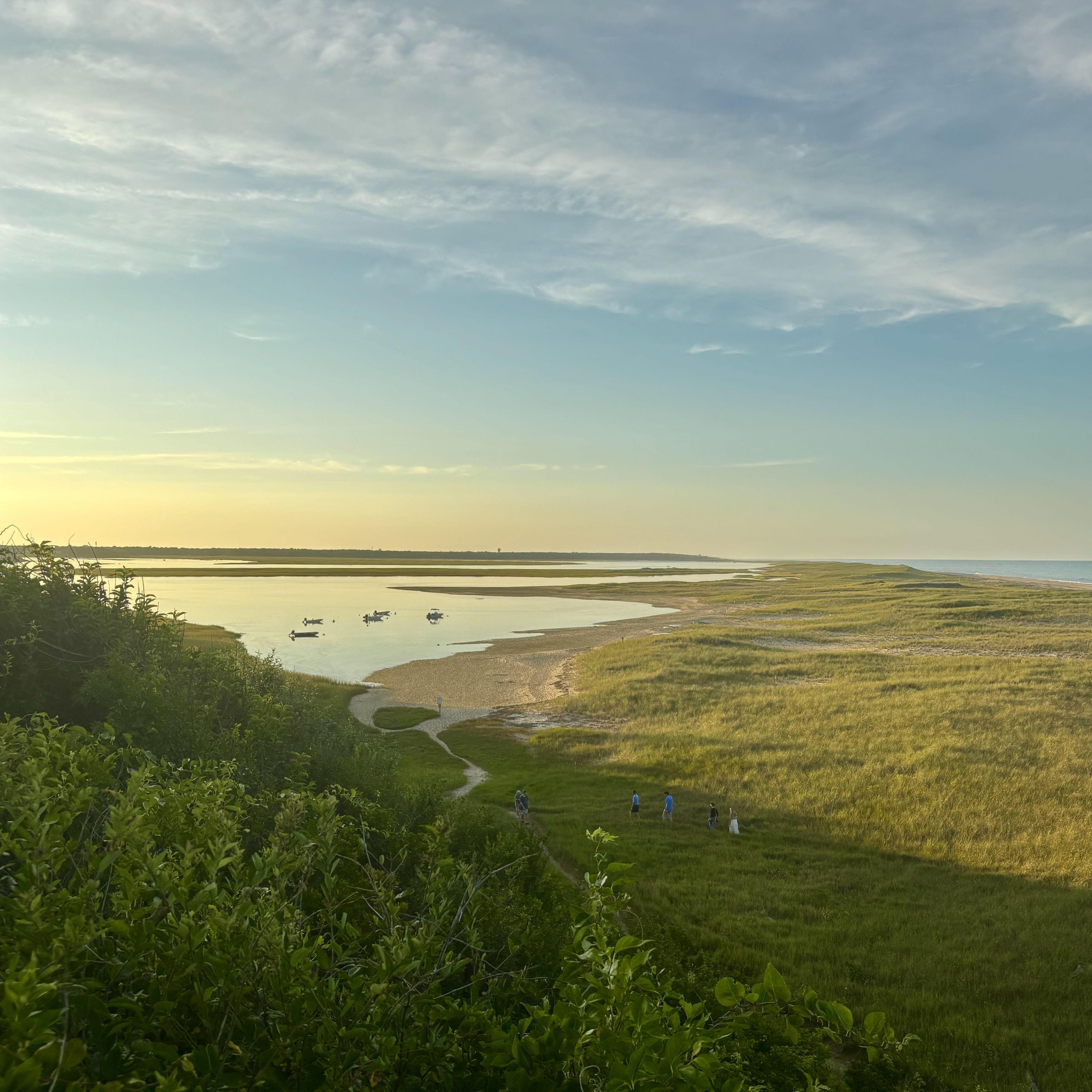 Cape Cod, August 2025.