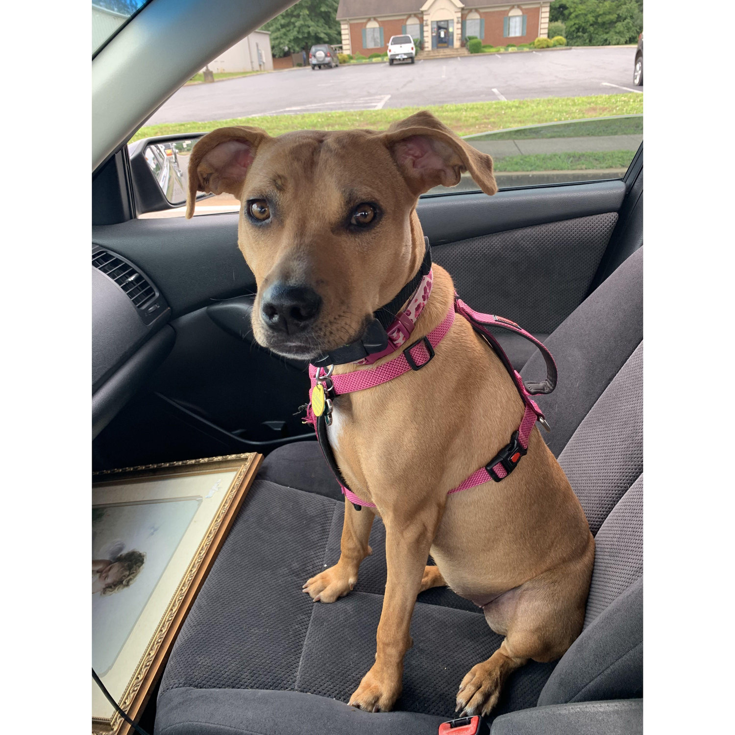 Our sweet Stella