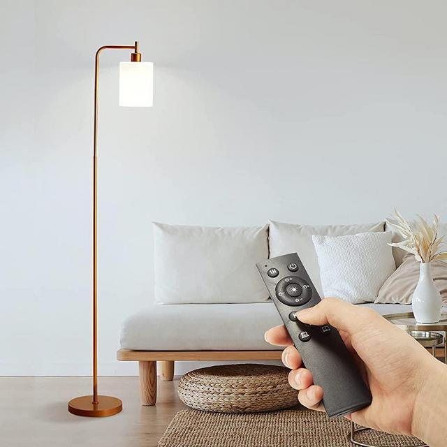 Elycony LED Floor Lamp, Industrial Gold Floor Lamp with Frosted Glass Shade, Remote Control & Foot Switch, 3 Color Temp & Stepless Dimming, Perfect for Bedroom, Living Room (LED Bulb Included)