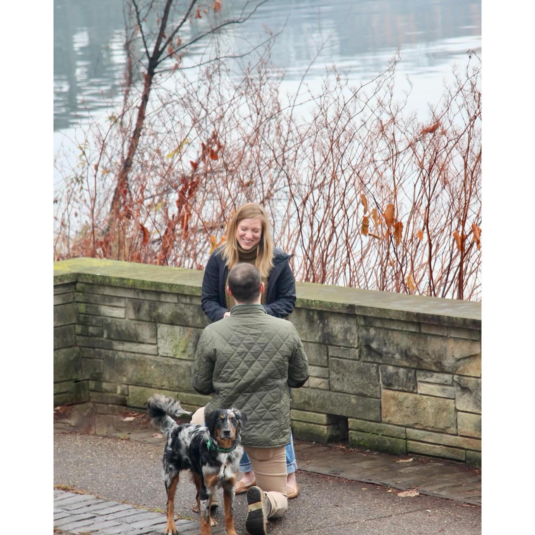When Rooney Popped the Question