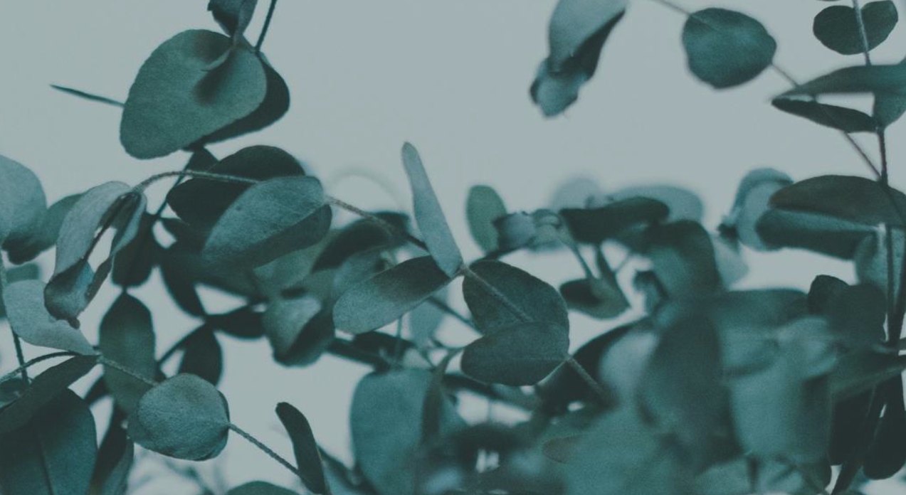 Footer image