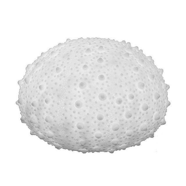 Light Up Frosted Glass Sea Urchin, 13" x 13" x 9" - Small