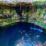 Dos Ojos Cenote