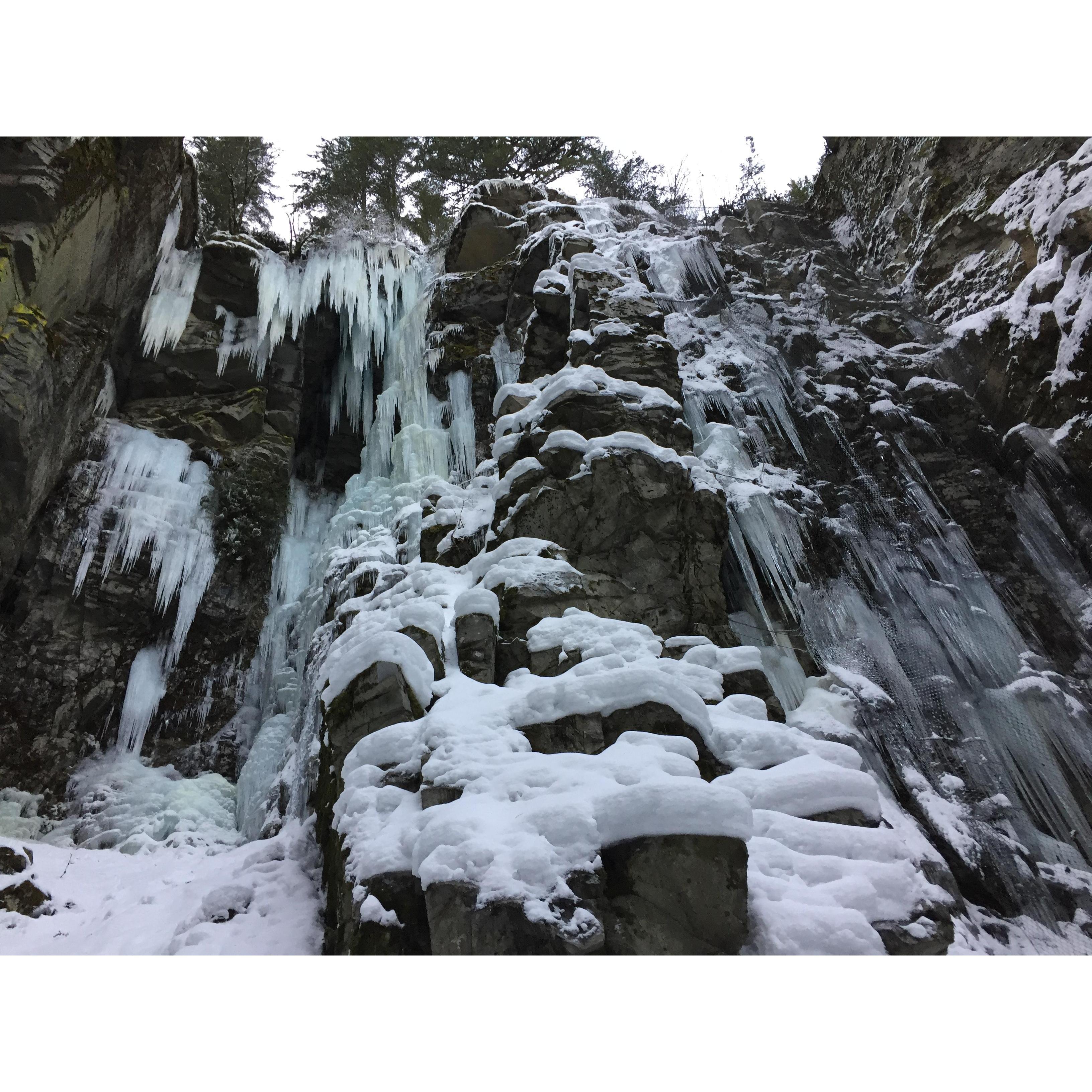 "Of all the places to go in Canada and you chose Abbotsford." - Canadian border guard shade.