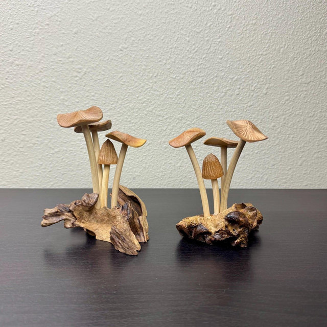 The Fungi Mushroom. Hand Carved Wooden Mushroom Sculpture: Home Decor Art. Housewarming. Gifts