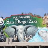 San Diego Zoo