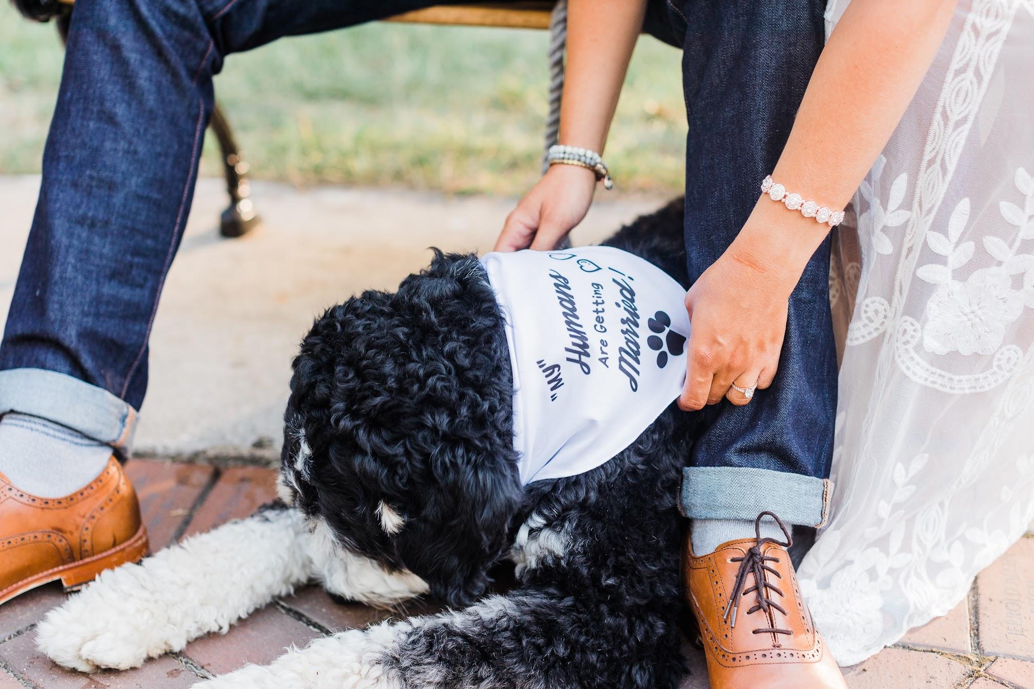 The Wedding Website of Emily Trauth and Will Gerhardt