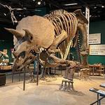 Science Museum of Minnesota