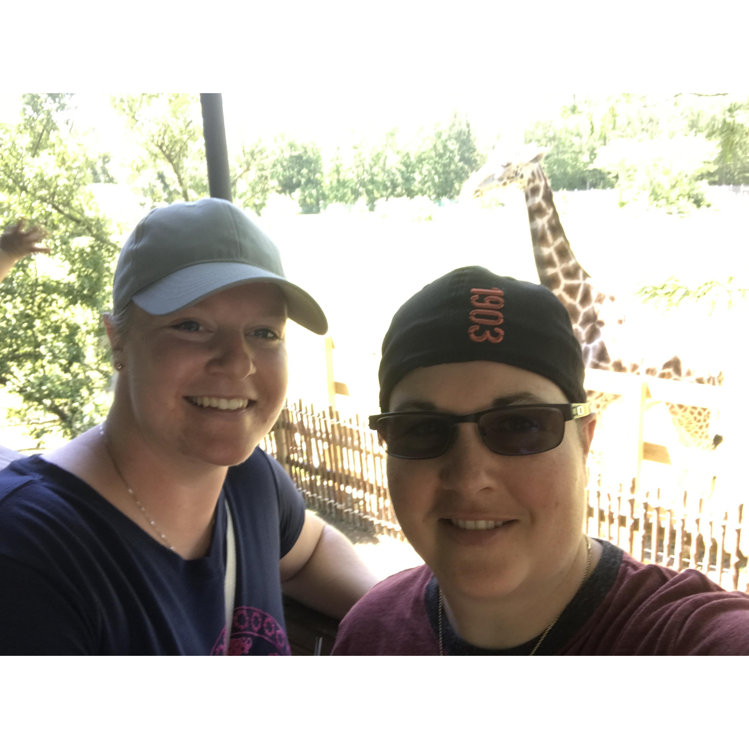 Cape May Zoo 2017
