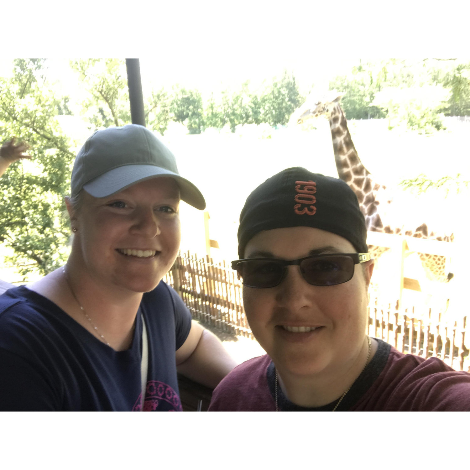Cape May Zoo 2017
