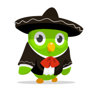 One year of Duolingo!