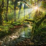 Hoh Rain Forest Visitor Center