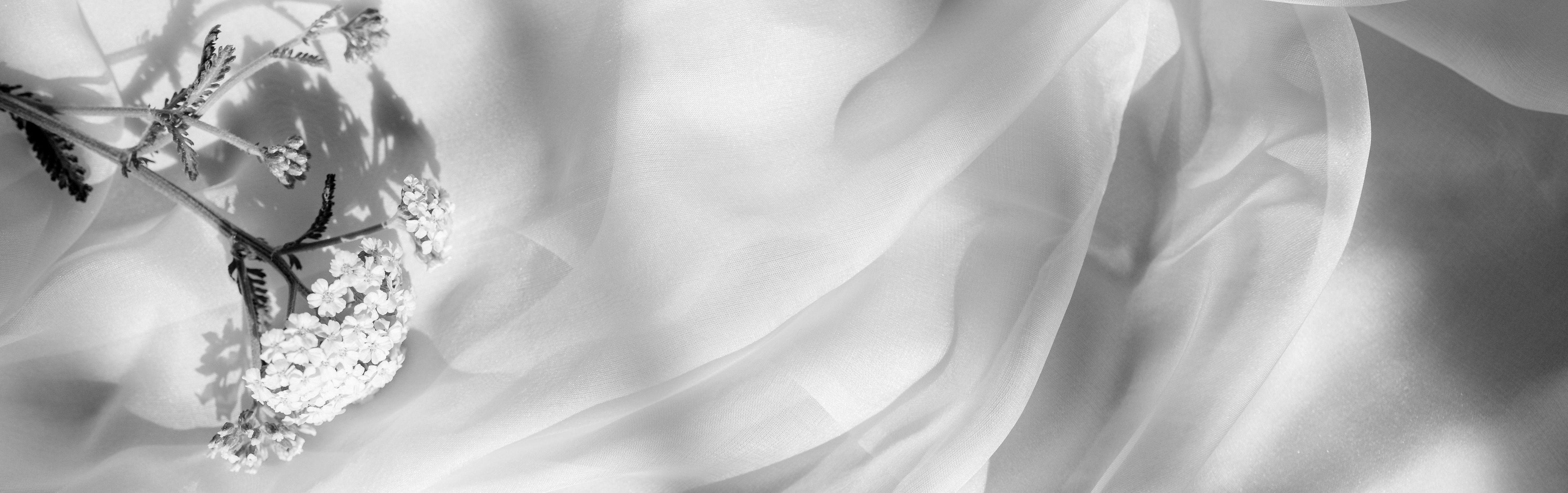 The Wedding Website of Kristina King and Jermaine Barnes